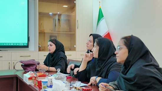 نشست نهایی هم‌اندیشی داشبورد متمرکز آمار بیمارستان‌های دانشگاه علوم پزشکی تهران با موفقیت برگزار شد 